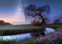 /album/foto-adriano/paesaggi-copia-jpg/